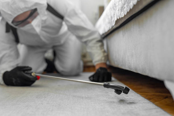 Professional Bed Bug Control technician working in Fairfax, OK