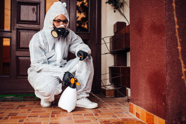 Reliable Bed Bug Control contractor in Fairfax, OK by Nex Pest Control