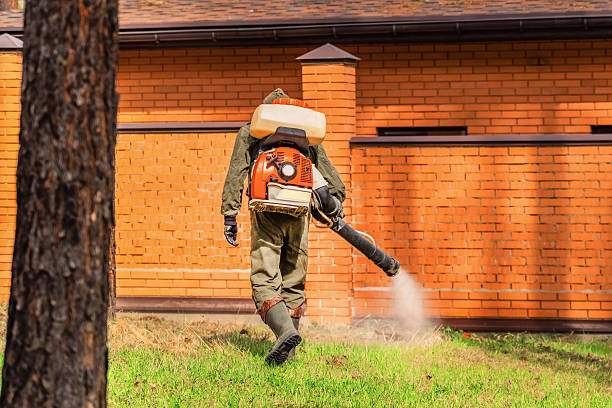 Trusted Cockroach Control service in Fairfax, OK - Nex Pest Control
